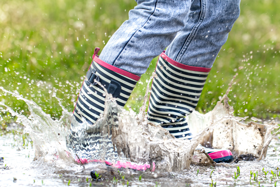 Tavaszi vízelvezetés – Hogyan előzzük meg a pangó vizet a kertben?
