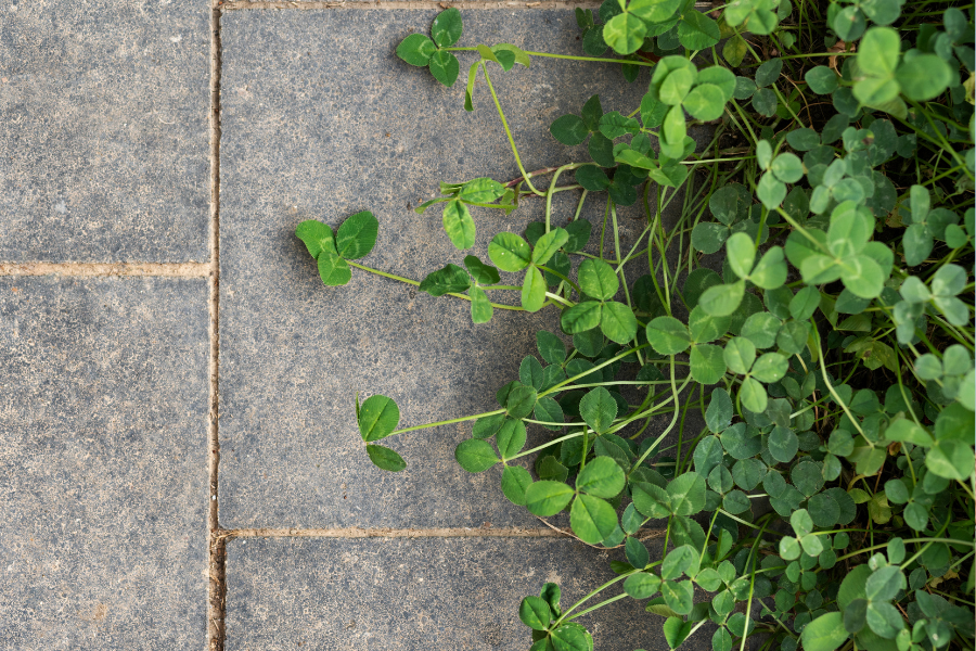 Kültéri ragasztók és fugák – Mi kell a tartós burkolathoz?